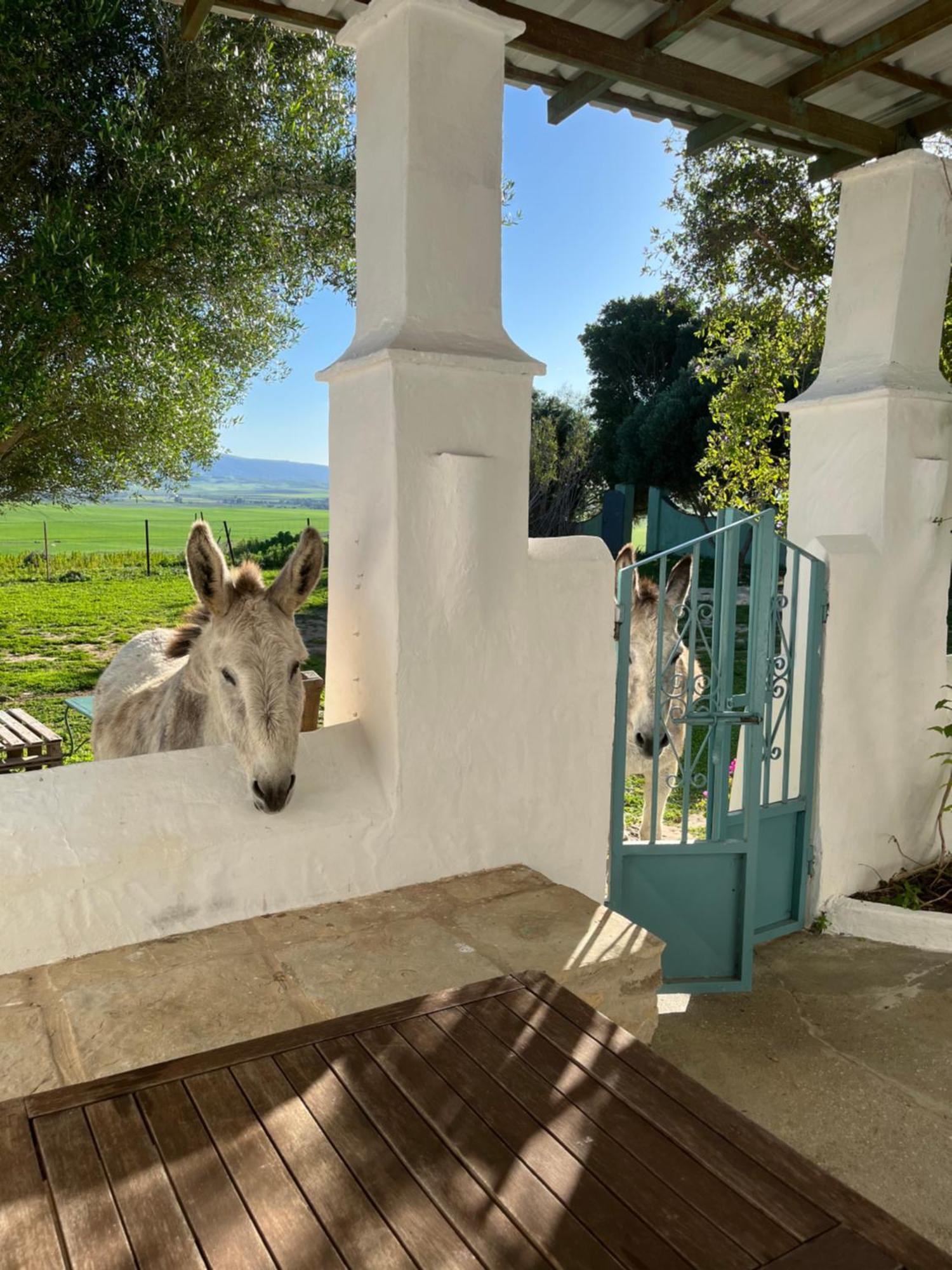 La Casa De Los Geranios Tahivilla Esterno foto